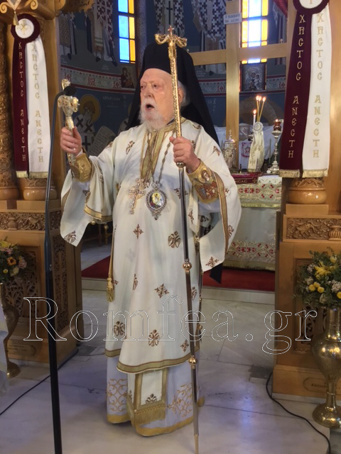 koronias tavros 1