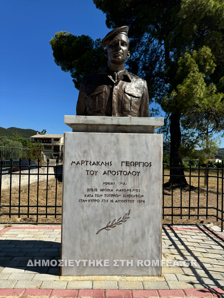 patron mnimosino 1