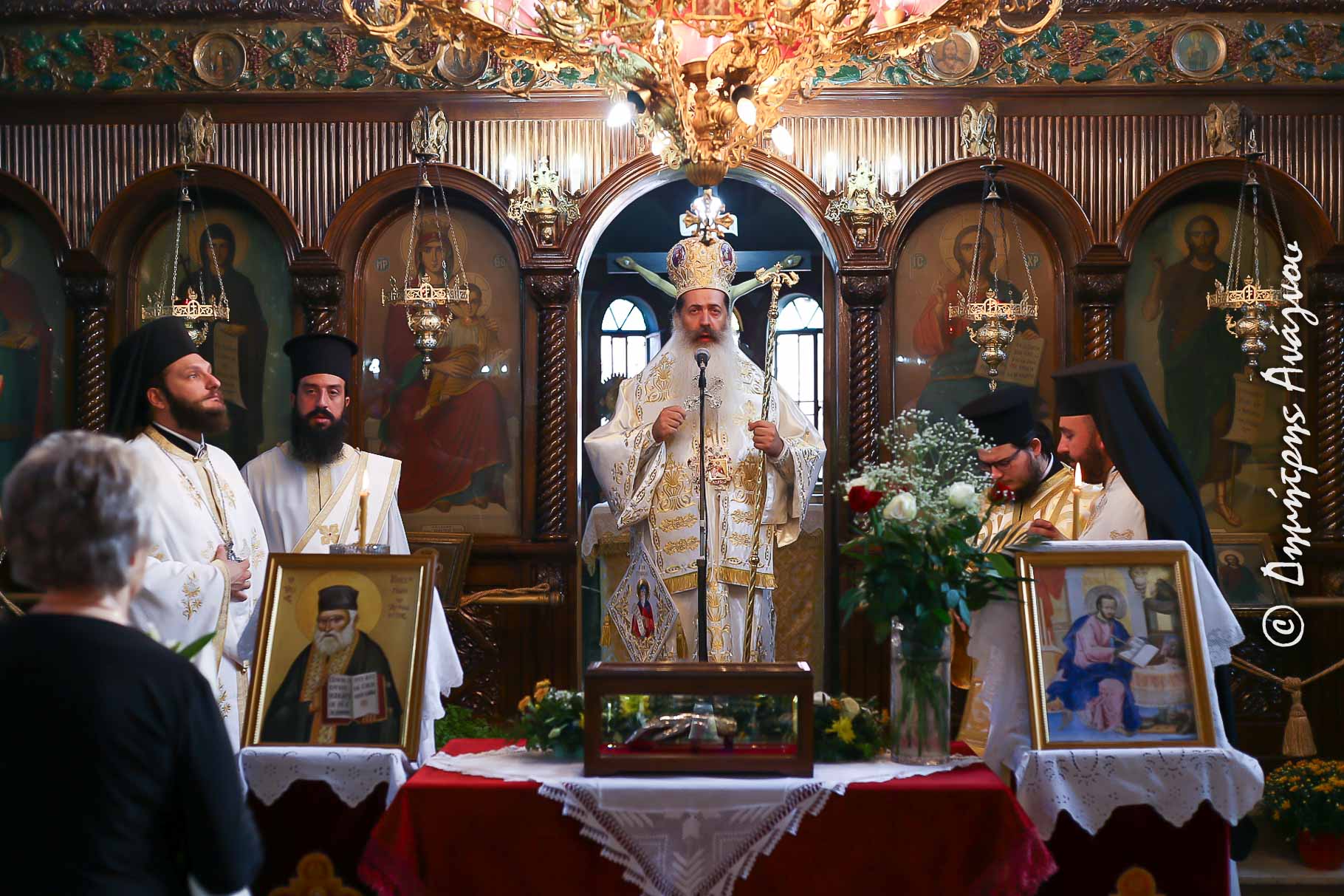 platystomo