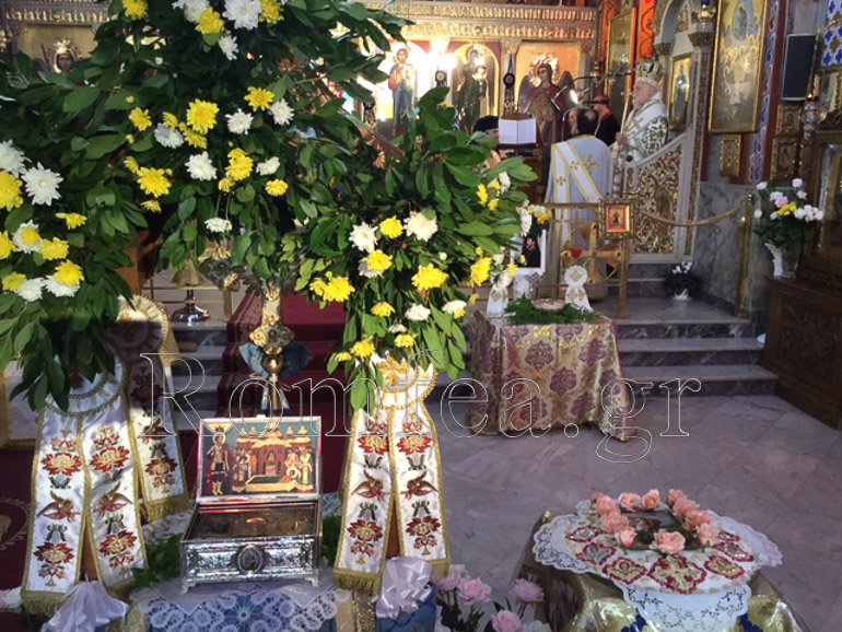 anakomidi koronias 1