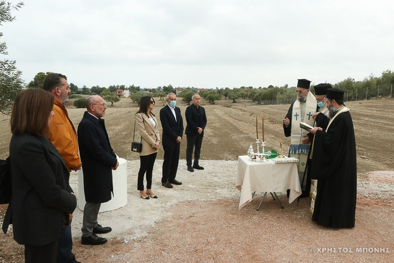dilesi 6