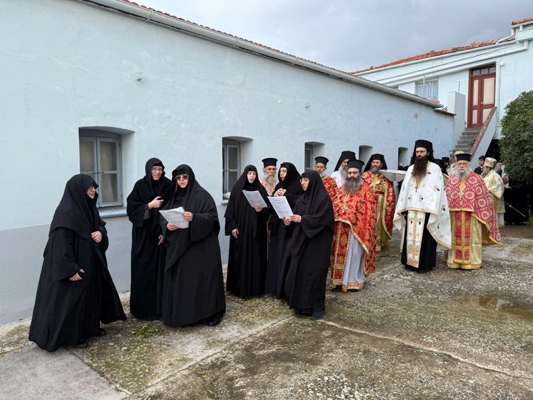 sillitoyrgo xios 1