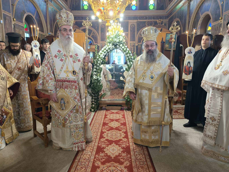 sillitoyrgo xios 11