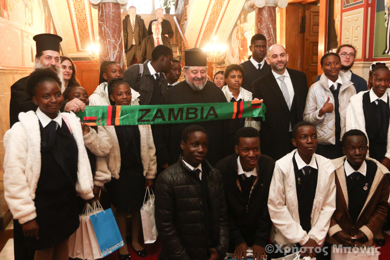 zampia paidia 1