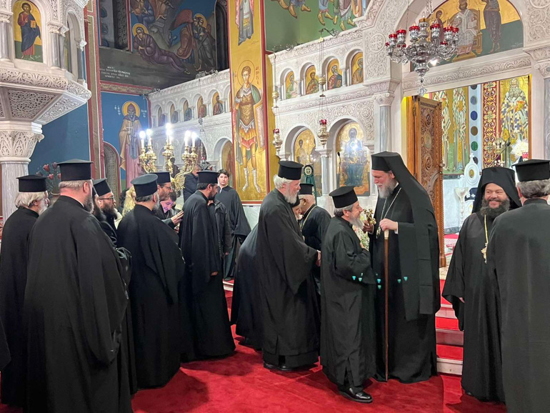 kataniktikos nea ionia 15