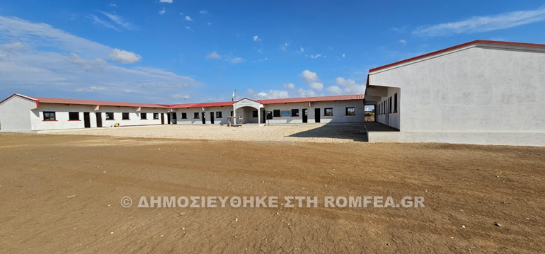 dorea australias toliara 1