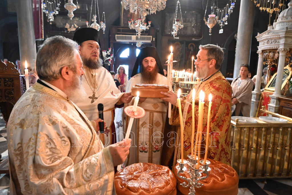 tinos zoodoxos pigi 4
