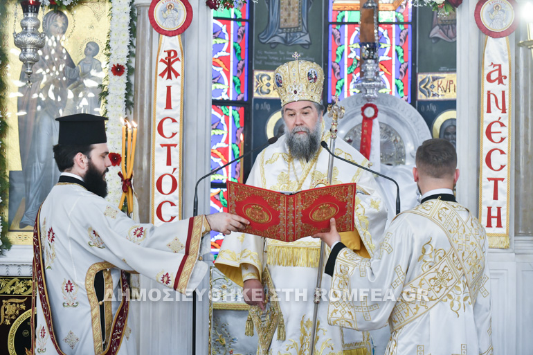 agapis serron 16