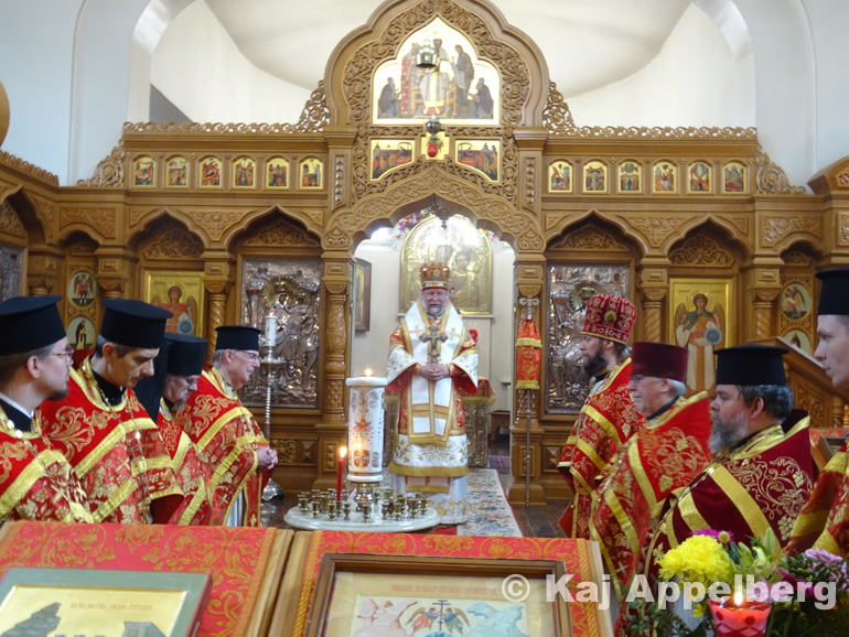 seminario kouopio 1