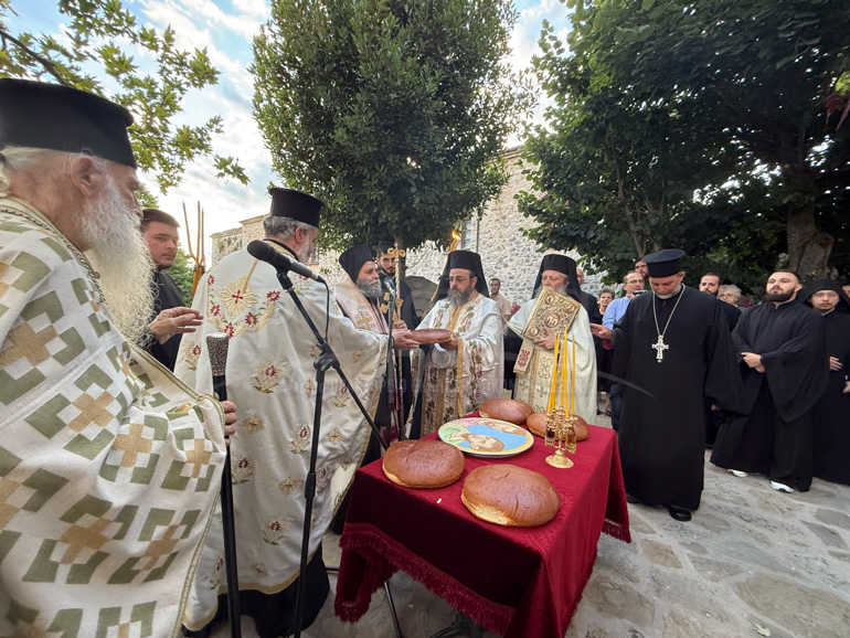 agioi anargiroi ioannina 1