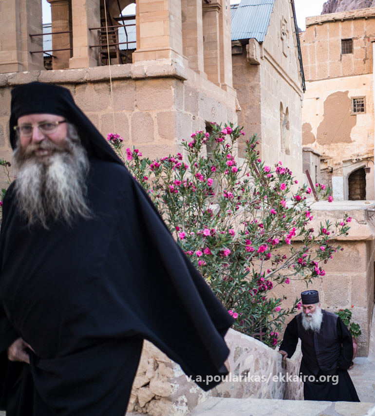 sina simeon sinenteuxi 1