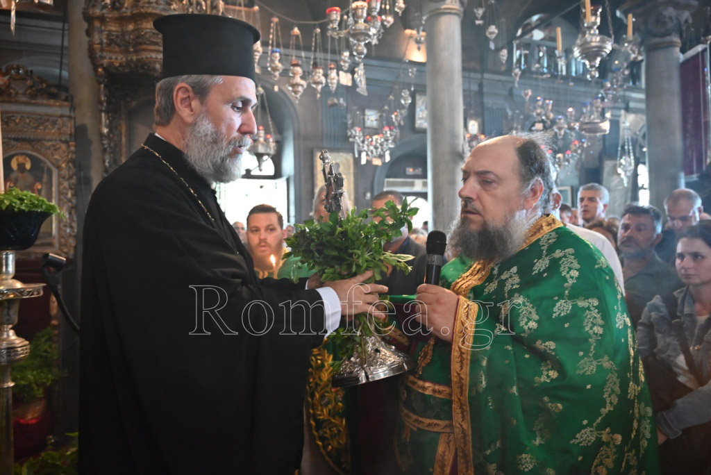 staurou ipsosi tinos 43