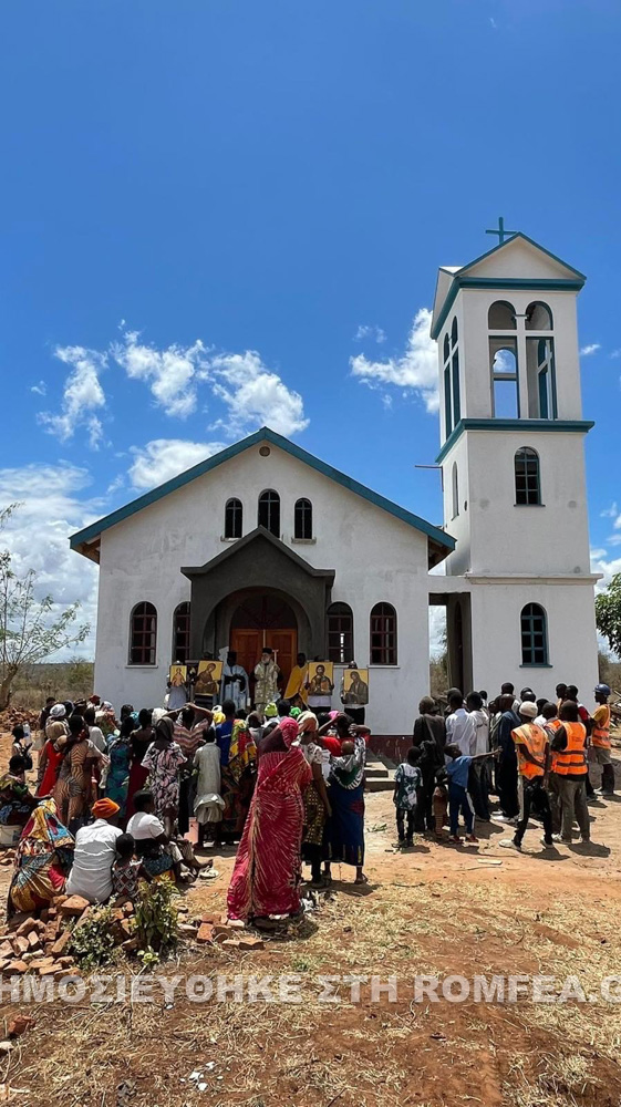 thiranoixia naou tanzania 1