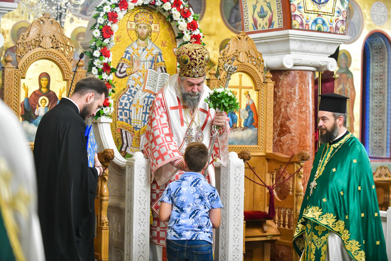 ipsosi serres 1