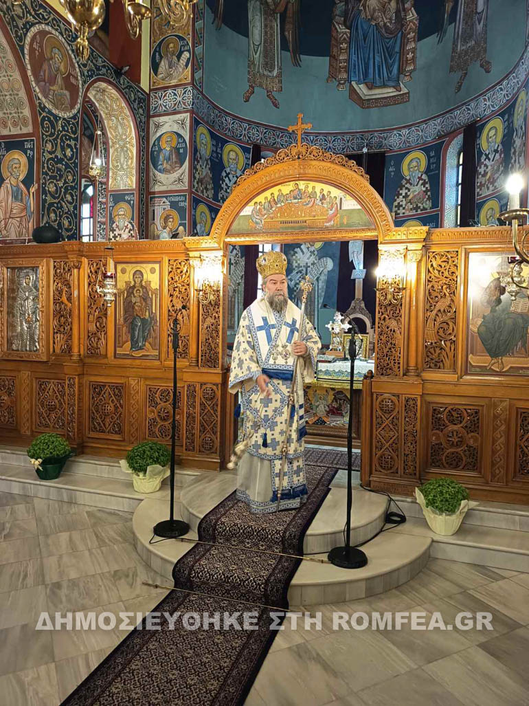 serron enoria 1
