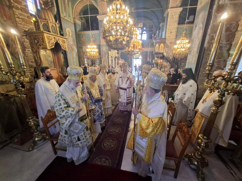 basiliko xalkidos 6