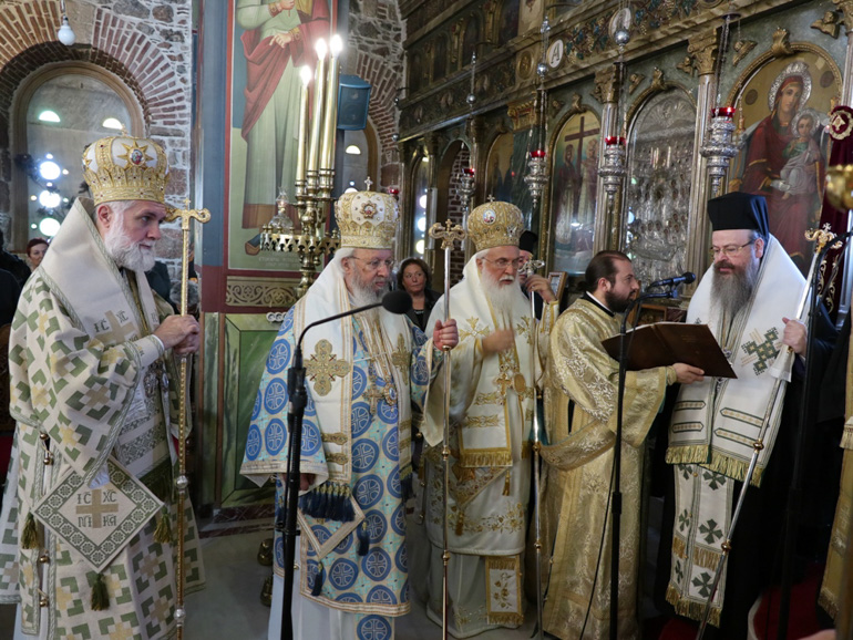 syroy basiliko 2