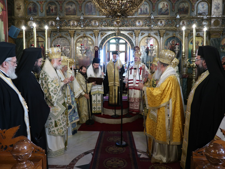 syroy basiliko 2