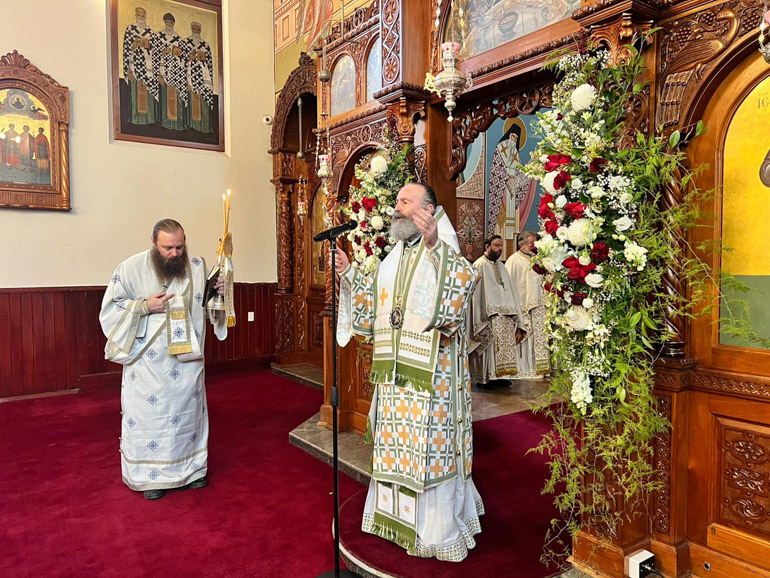 ag stefanou australias 1