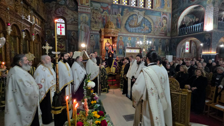 kataniktos d floriina 2