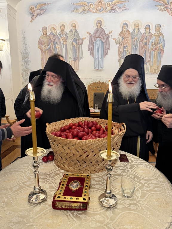Zoodoxos Pigi Moni Vatopaidiou 2