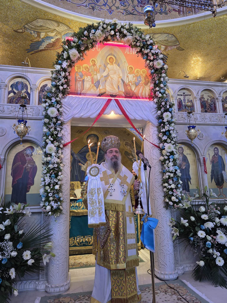 bohtheia patra 1
