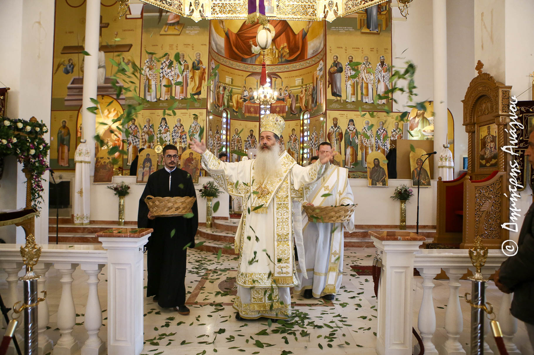 a anastasi lamia