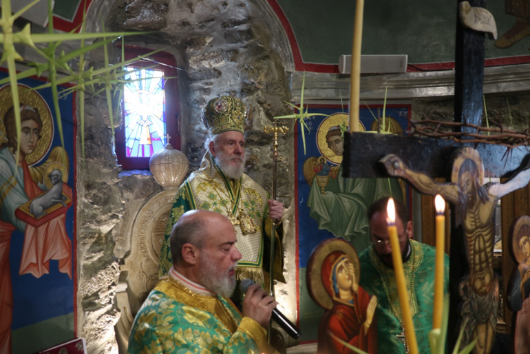baion syroy 1