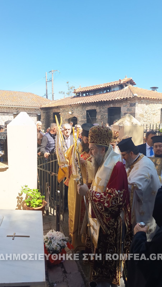 mirofores serron 2