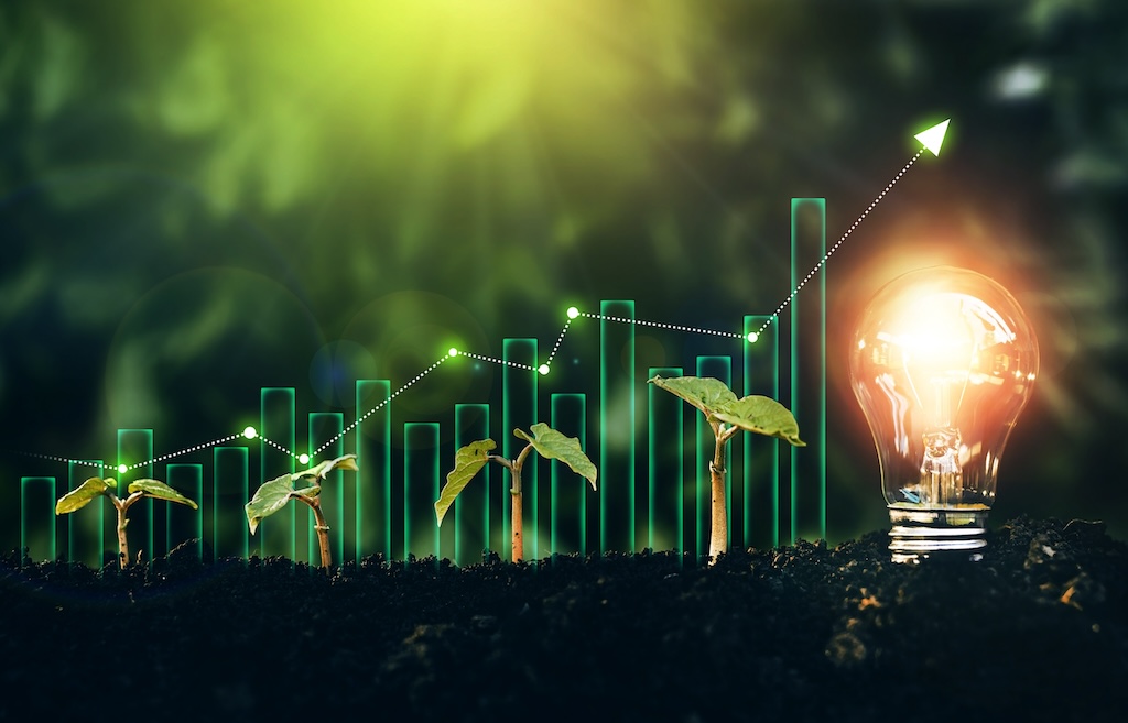 Light bulb is located on the soil, and plant are growing with growth graph.Renewable energy generation is essential in the future. Alternative sources of energy.Green energy development.