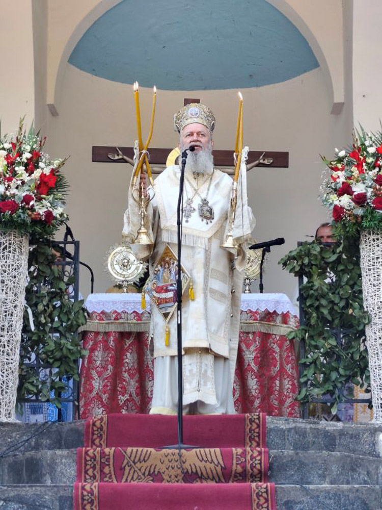 apodosi xalkidos 9