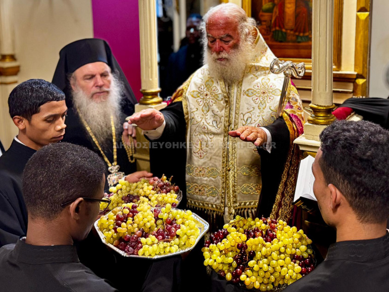 patriarxiki moni 14
