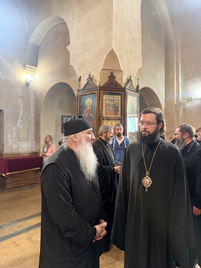 antonios georgia 7