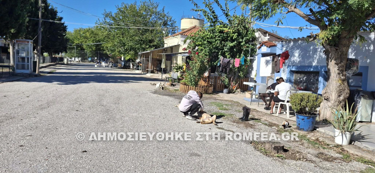 keso filakes kasabetias 12