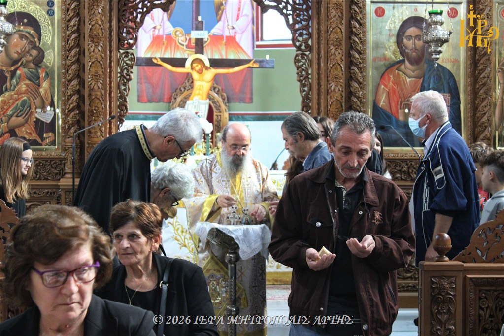 sillitoyrgo arta 16
