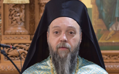Ενημέρωση για την Χειροτονία του Επισκόπου Νεοχωρίου Χριστοδούλου