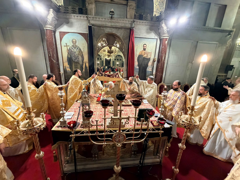 leitoyrgia sofia 6
